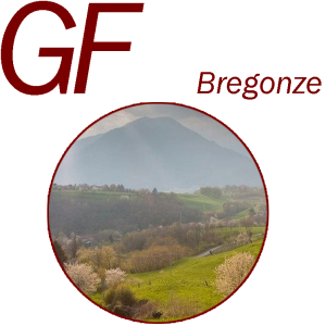 GF - Gran Fondo of Bregonze