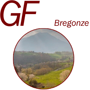 GF - Gran Fondo delle Bregonze